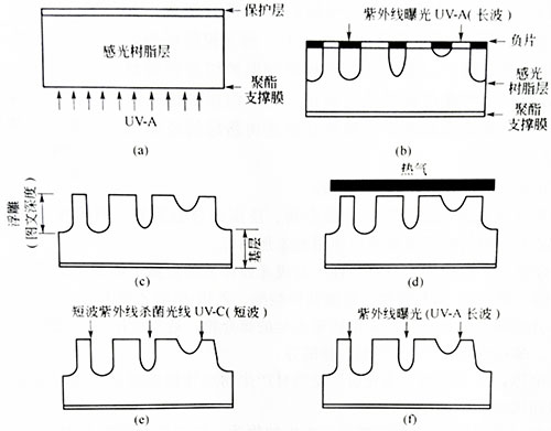 固體感光樹(shù)脂柔性版的制作工藝